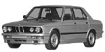 BMW E28 P363A Fault Code